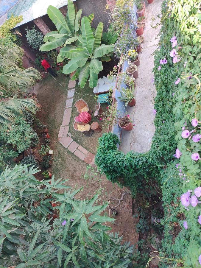 Bristows Haveli Homestay Dzsódhpur Kültér fotó